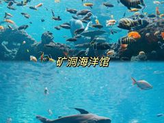 -长鹿旅游休博园