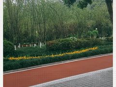 -龙头寺公园