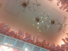 -豚王拉面(铜锣湾店 )