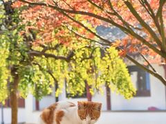 -苏州卫生职业技术学院(石湖校区)