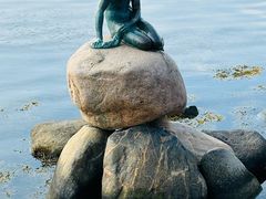 -美人鱼