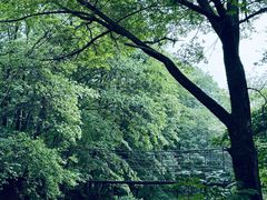 -本溪老边沟风景区