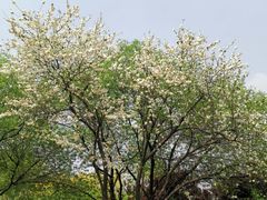 -永定河休闲森林公园