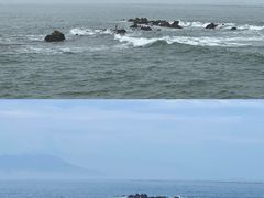 -小麦岛公园