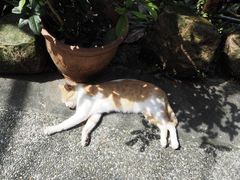 -平溪村