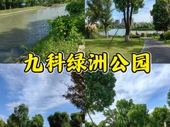 -九科绿洲