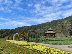 -广州市石门国家森林公园