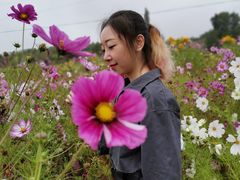 -草原天路(张北县)