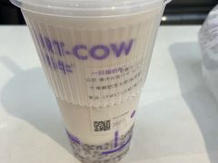-一只酸奶牛(时代天街A馆店)