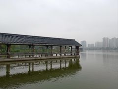 -飞来湖湿地公园