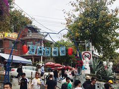 -猫咪博物馆(顶澳仔猫街店)