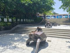 -广东惠东海龟国家级自然保护区
