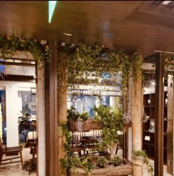 -青青一生美皮肤管理