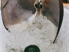 -Tuna maki寿司(园区永旺店)