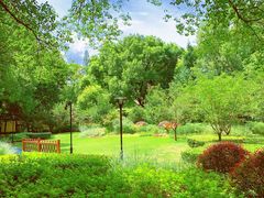 -徐家汇源景区-衡山公园