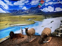 -南宫五洲植物乐园