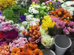 -双季花艺园艺市场(浦东店)