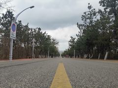 -养马岛旅游度假区