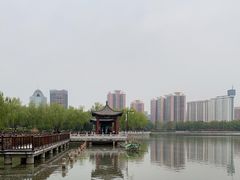 -莲花池公园