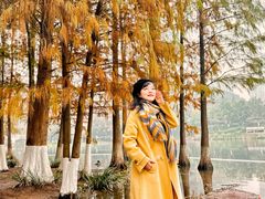-重庆彩云湖湿地公园