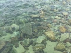-玫瑰海岸文化旅游度假区