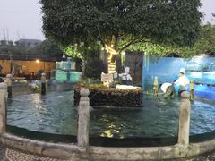 -天怡·鱼工厂(临江店)