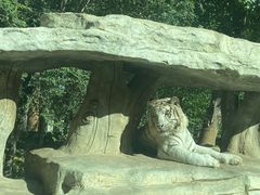 -北京野生动物园