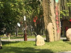 -黄海国家森林公园