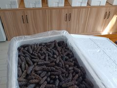 -宫品海参专卖店(静安大宁店)