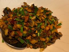-院里寻菜·精致庭院菜(观沙岭店)