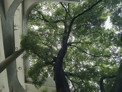 -湖北美术学院(昙华林校区)