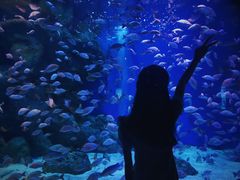 -成都浩海立方海洋公园