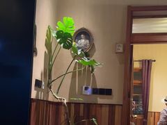 -南园民国茶楼餐厅·常州菜(北大街店)