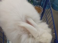 -成都失恋馆