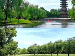 -上海方塔园