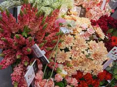 -宜家家居(哈尔滨商场店)