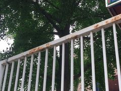 -梦想之巅青少年篮球培训中心(海淀校区)