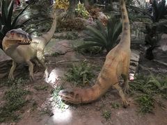 -湖南省地质博物馆