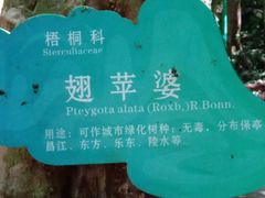 -七仙岭温泉国家森林公园