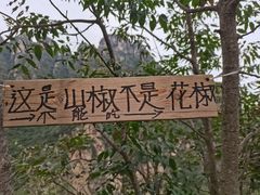 -十渡东湖港风景区