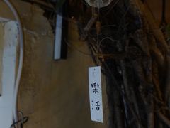 -奈诺甜品·生日蛋糕·下午茶(古城店)