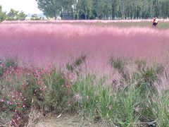 -汉长安城未央宫国家考古遗址公园