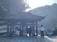 -蔺大妈松花糕