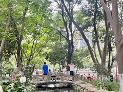 -成都市活水公园