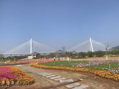 -芒洲湿地公园