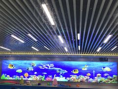 -水贝乐国际水育儿童游泳中心(新业广场店)