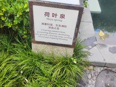 -海兰云天度假区温泉