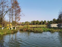 -海珠湖公园