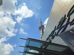 -上海海洋水族馆