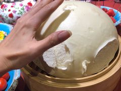 -张氏鱼庄